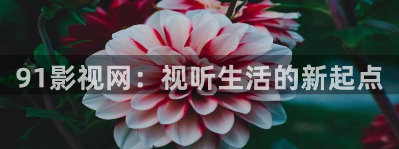 驻站电视剧免费观看策驰影院：91影视网：视听生活的新起点