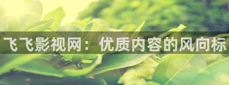 纯真时代策驰影院：飞飞影视网：优质内容的风向标