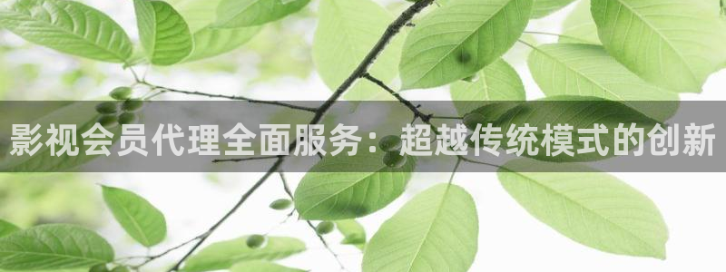 延禧攻略策驰影院：影视会员代理全面服务：超越传统模式的创新