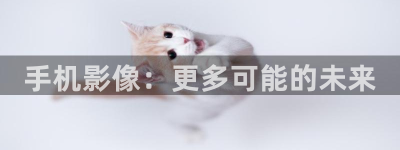 不期而至电视剧免费观看策驰影院：手机影像：更多可能的未来